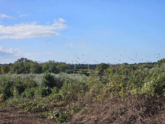 Traumhaftes Baugrundstück mit Meerblick in Brtonigla