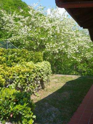 3-Zimmer-Eckwohnung mit riesengroßem Außenbereich