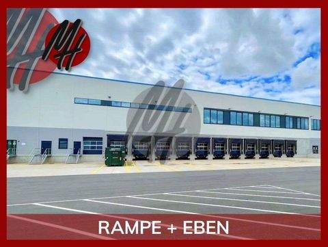 Bensheim Halle, Bensheim Hallenfläche