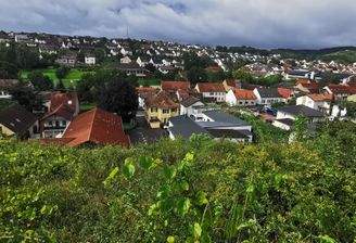 Blick vom Grundstück auf Wallhausen