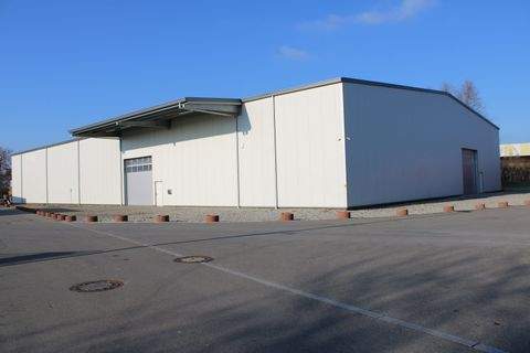 Eriskirch Halle, Eriskirch Hallenfläche