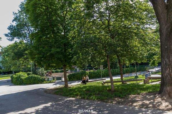 grüne freundliche Umgebung