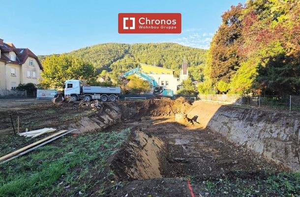 project-cw10-bild8-willh