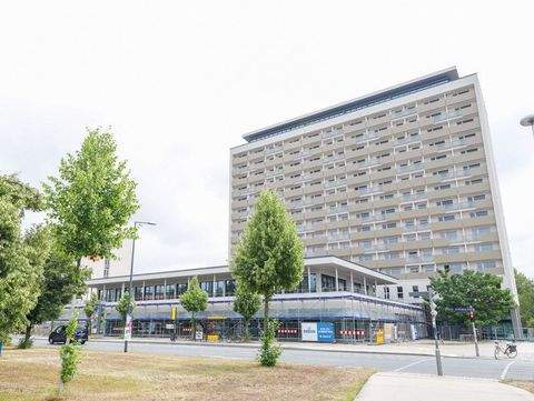 Dresden-Pirnaische Vorstadt Wohnungen, Dresden-Pirnaische Vorstadt Wohnung mieten