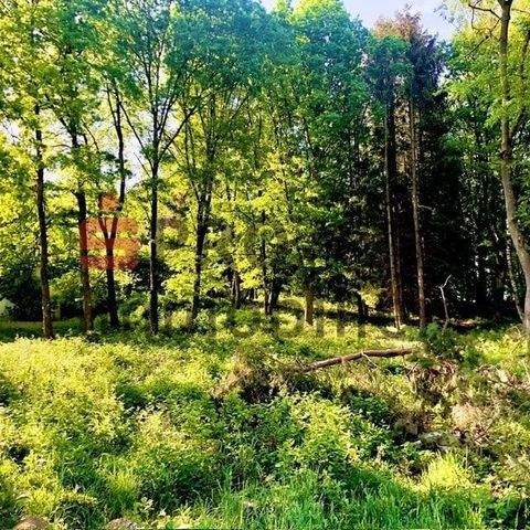 Neunkirchen Grundstücke, Neunkirchen Grundstück kaufen