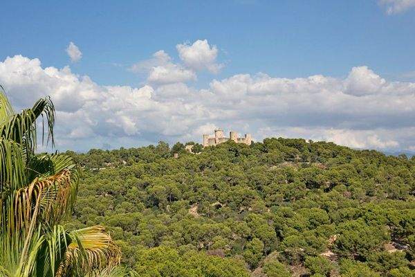 91793_1_19_89513_1_20_06- apartamento bonanova terraza1 vistas castillo