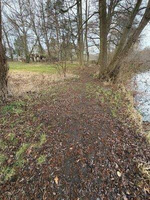 Knapp 90 m Wasserkante