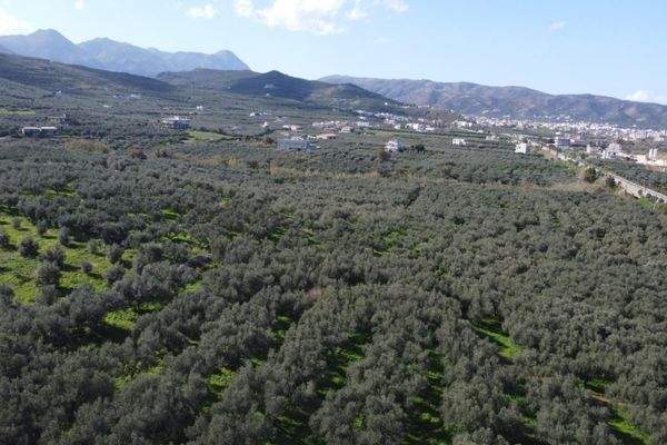 Kreta - Kaloudiana: Schönes Grundstück mit Berg- und Meerblick