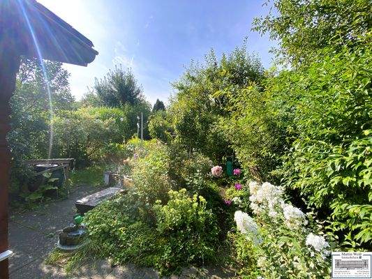 Blick in den Kleingarten