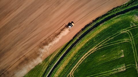 Wiefelstede Bauernhöfe, Landwirtschaft, Wiefelstede Forstwirtschaft