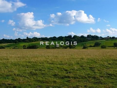 Hof Industrieflächen, Lagerflächen, Produktionshalle, Serviceflächen