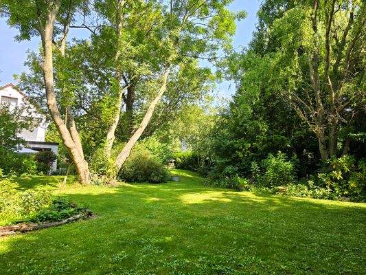 Ein Traum von Grundstück