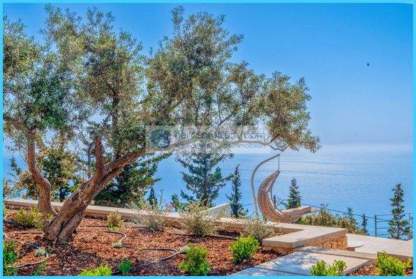 2538d07d154540139feb2c1f1a9eba3f-original