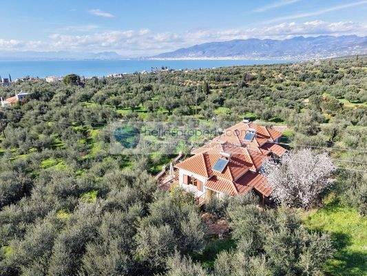 92c4b111702a4a61b1e9c6e0d3ab3d3e-original