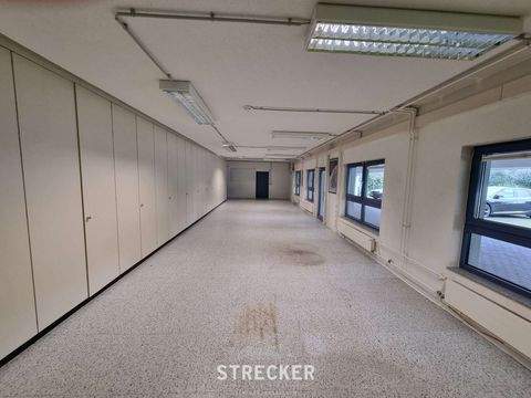 Ettlingen Halle, Ettlingen Hallenfläche