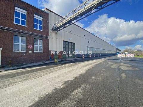 Essen Halle, Essen Hallenfläche