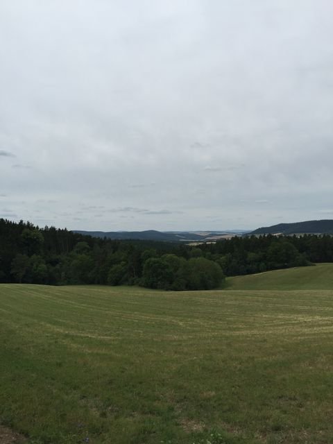 Remda-Teichel Bauernhöfe, Landwirtschaft, Remda-Teichel Forstwirtschaft