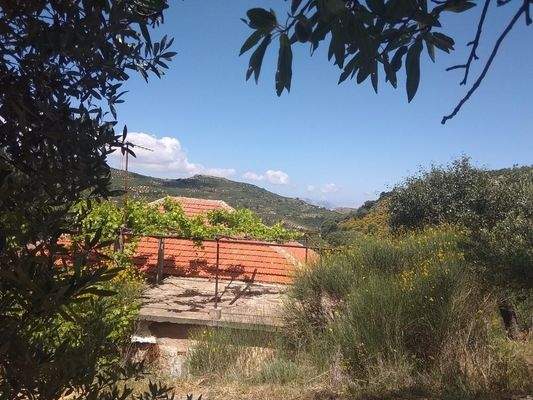 Im Herzen der kretischen Natur – In den Olivenbäumen