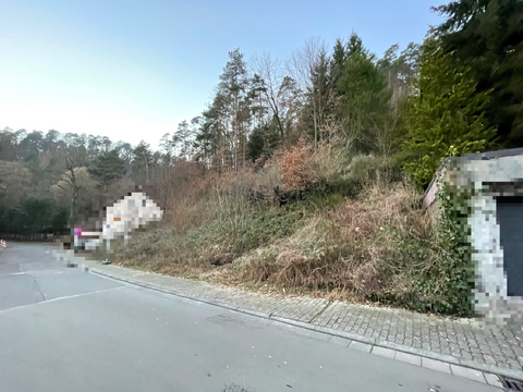 Weidenthal Grundstücke, Weidenthal Grundstück kaufen