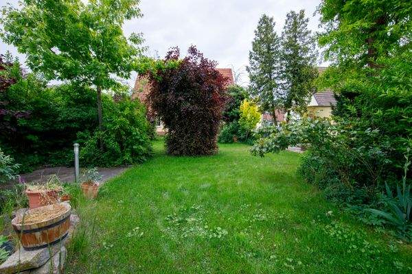 36 - Gartenblick von hinten.jpg
