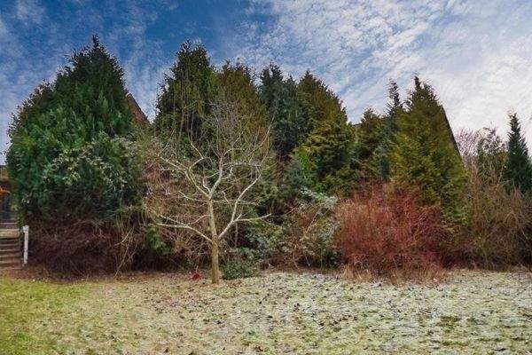 Garten zum Wohlfühlen