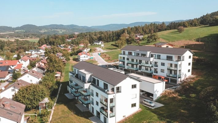 02_25-Hunderdorf-24