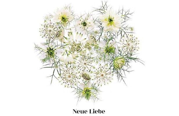 NEUE LIEBE
