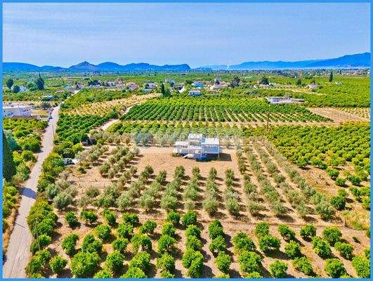 4ad9f8e941934f338508baded733f324-original