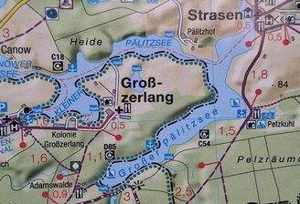 HALBINSEL-GROßZERLANG 