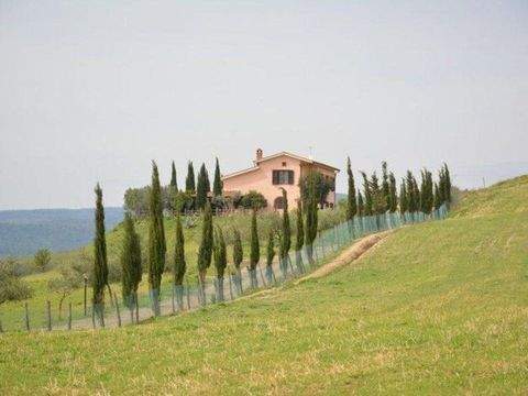 Pitigliano Häuser, Pitigliano Haus kaufen