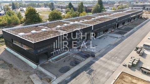 Düsseldorf Halle, Düsseldorf Hallenfläche