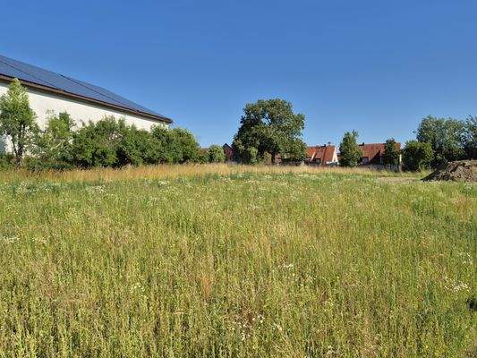 Blick auf Baugrundstück