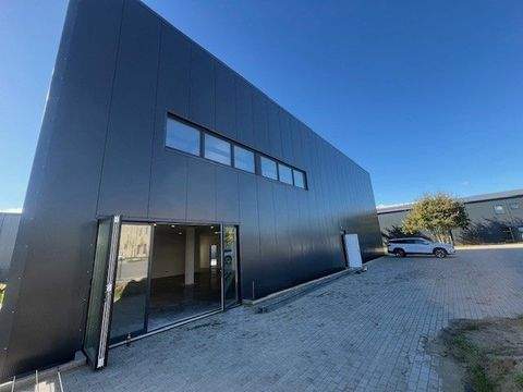 Borstel-Hohenraden Halle, Borstel-Hohenraden Hallenfläche