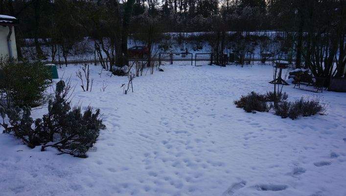 Sicht vom Eingang.JPG