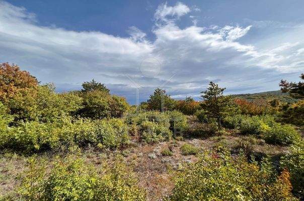 Bauen Sie Ihr Traumhaus in Traumlage