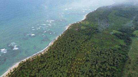 Punta Cana Bauernhöfe, Landwirtschaft, Punta Cana Forstwirtschaft