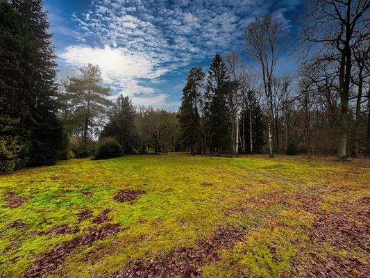 Ein Exklusivangebot im Alleinauftrag der 4TREE CAPITAL Real Estate GmbH