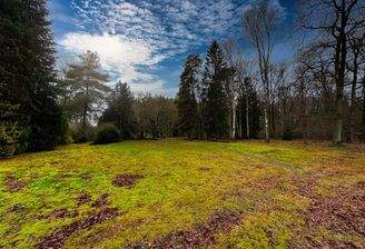 Ein Exklusivangebot im Alleinauftrag der 4TREE CAPITAL Real Estate GmbH