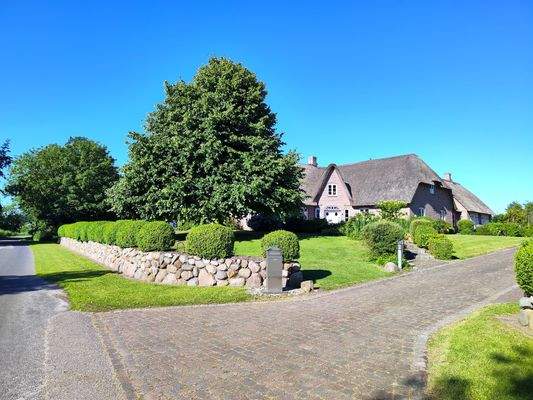 1) IMG_20250701_085221.jpg