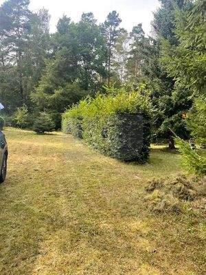 Ansicht vom Wochenendgrundstück