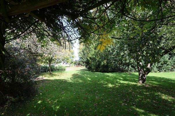 Garten mit altem Baumbestand (potenzieller Bauplatz)