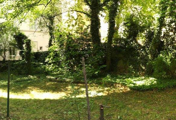 Gemeinschaftlicher Garten