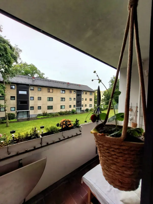 88c1542d-88e6-4225-b24a-1f2650cf6a3b-1969319554