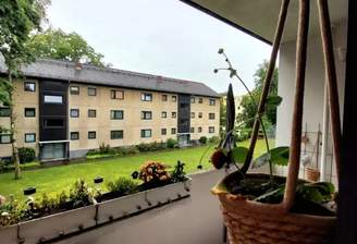 88c1542d-88e6-4225-b24a-1f2650cf6a3b-1969319554