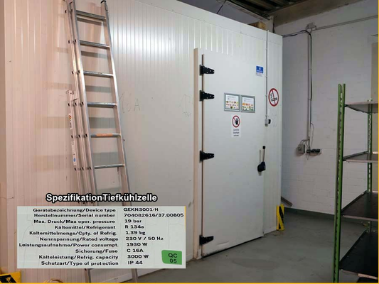 Tiefkühlzelle (a. Wunsch)