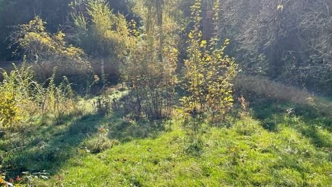Freital Grundstücke, Freital Grundstück kaufen