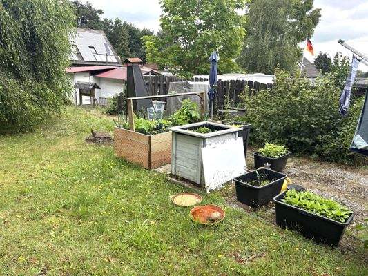 Blick in den vorderen Grundstücksbereich