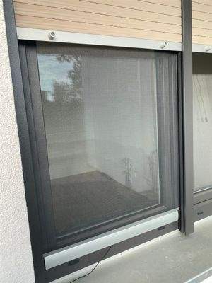 alle Fenster mit Gasche und Außenjalousin