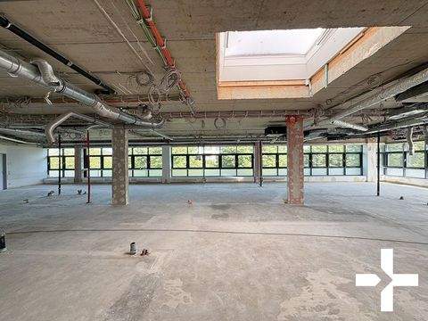 Mönchengladbach Büros, Büroräume, Büroflächen 