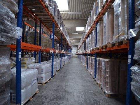 Stelle Halle, Stelle Hallenfläche